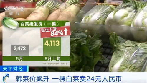 韓國民眾叫苦不迭 菜價水產品價格一路飆升，生活壓力陡增