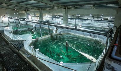 喜報！國信集團兩家水產品公司入選青島首批新經濟潛力企業