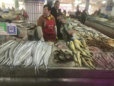 浙江水產市場現“黃金海鮮” 一斤飆至五百元，朋友圈里的價格驚嘆號