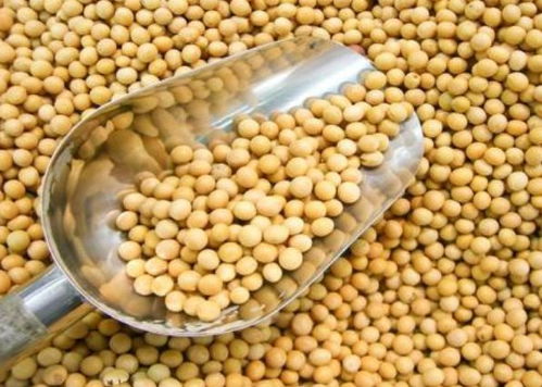 寧波進(jìn)口食品排行榜揭曉 水產(chǎn)品榮登榜首，吃貨最愛一覽