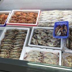 北京西南郊肉類水產(chǎn)品市場全攻略 電話、地址、價(jià)格與營業(yè)時(shí)間