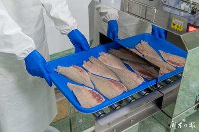 開辟“預(yù)制菜”新賽道，大黃魚游向水產(chǎn)品市場藍(lán)海