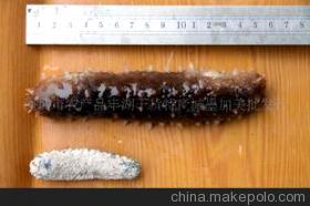 探秘滋補(bǔ)珍品 特級(jí)日本沖子參的營養(yǎng)價(jià)值與選購指南